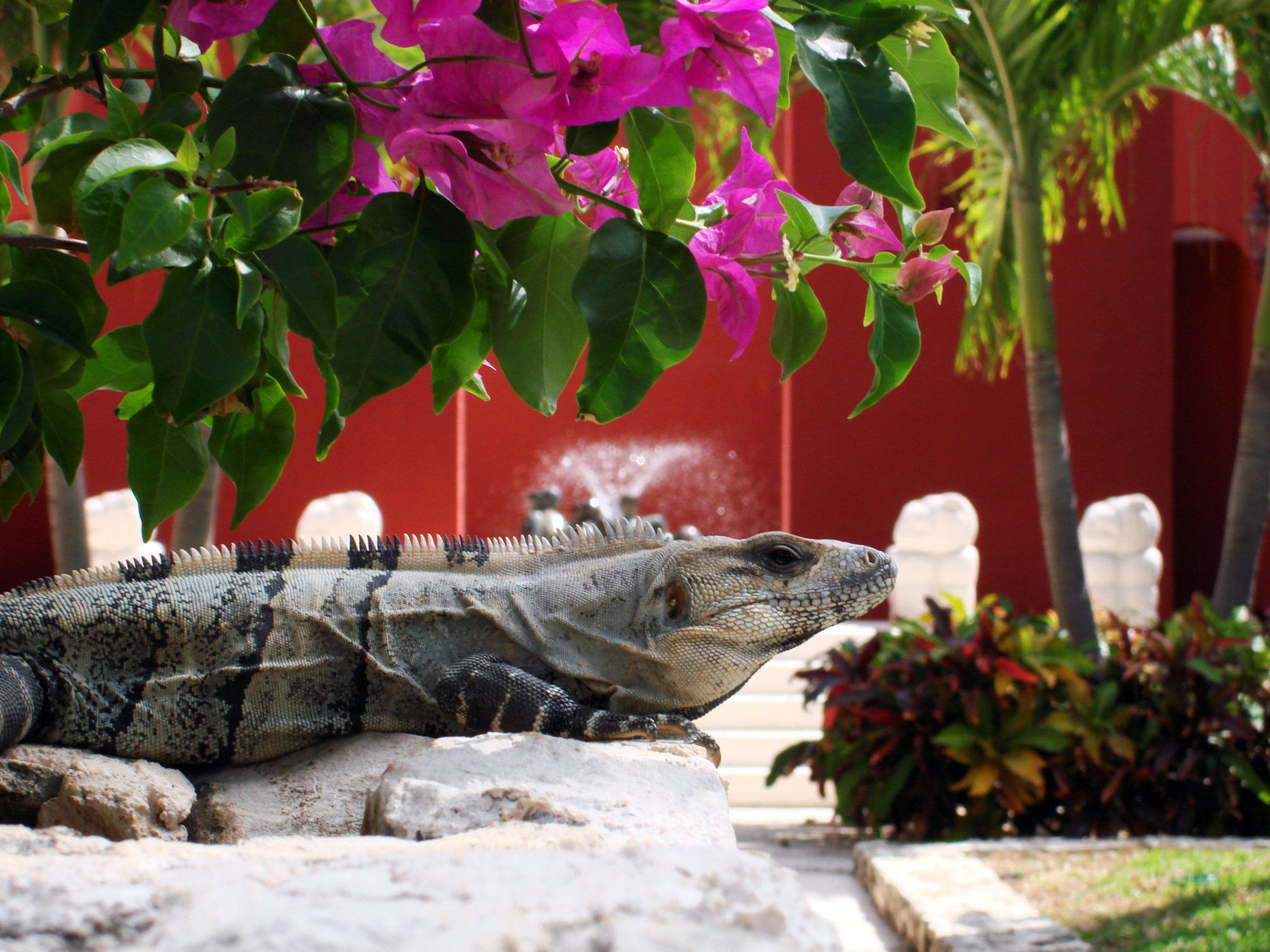 Paraiso De La Bonita Adult All-Inclusive, A Luxury Collection Resort Puerto Morelos Ausstattung foto